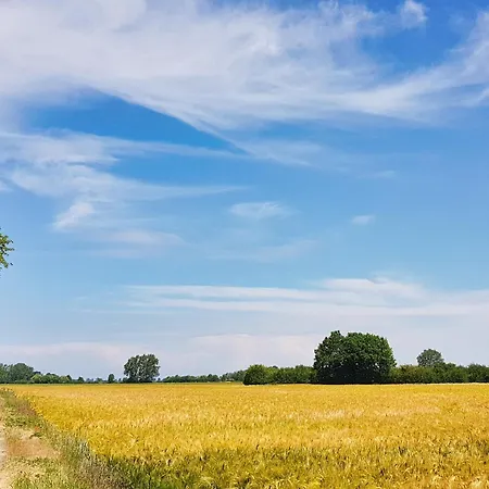 Luette Veer Рибниц-Дамгартен